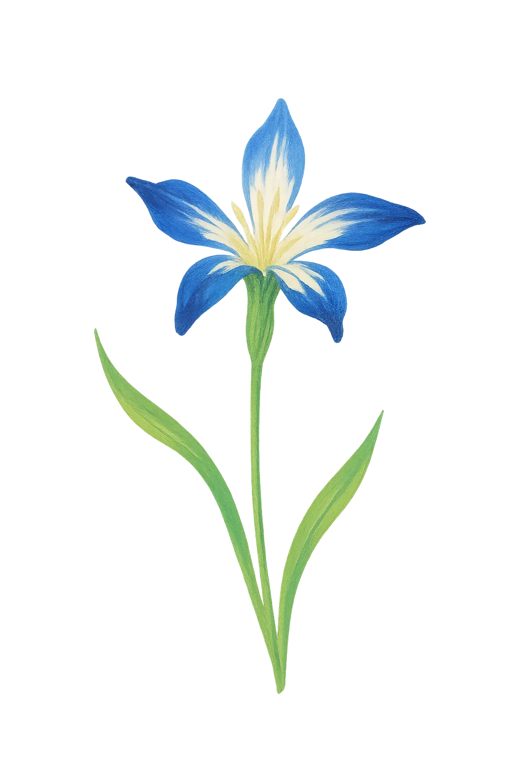 Floral decoration for Light gray