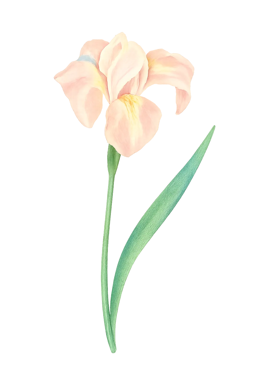 Floral decoration for Light indigo