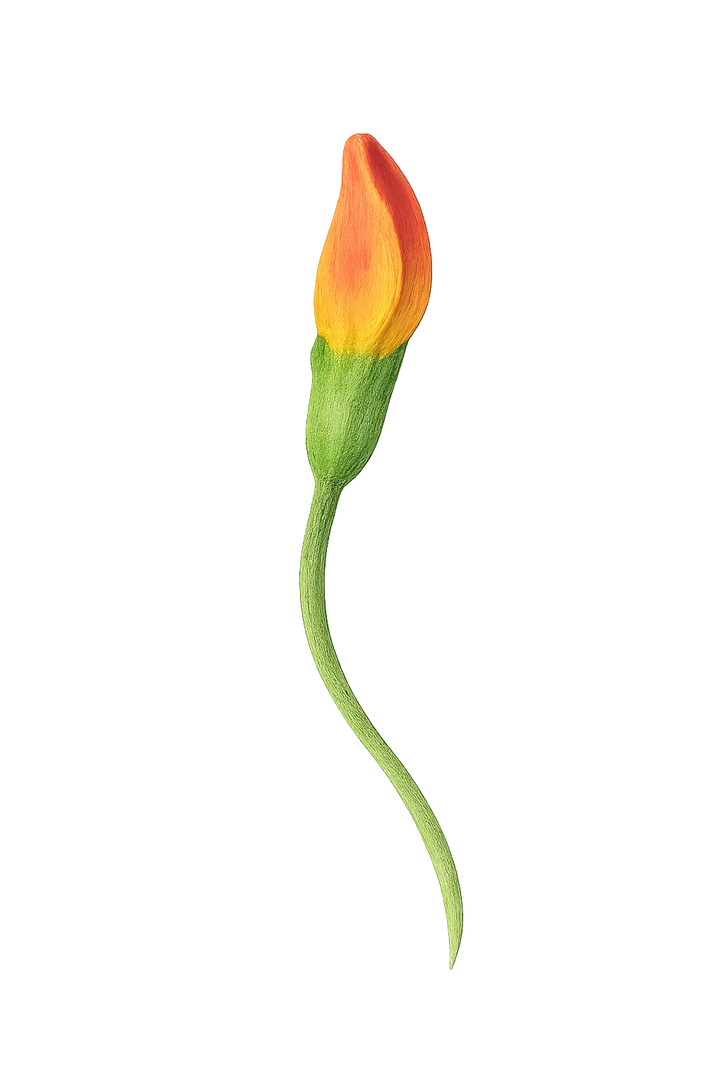 Floral decoration for Light gray