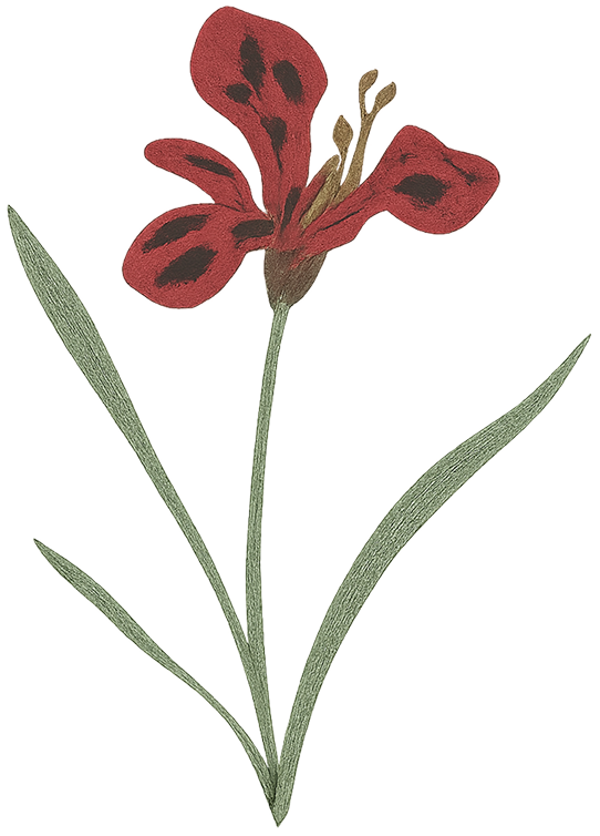 庭の花のイラスト